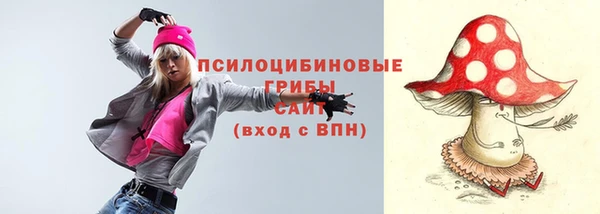 ГАЛЛЮЦИНОГЕННЫЕ ГРИБЫ Надым