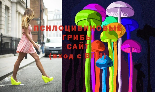 ГАЛЛЮЦИНОГЕННЫЕ ГРИБЫ Надым