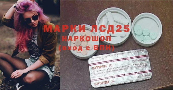 ГАЛЛЮЦИНОГЕННЫЕ ГРИБЫ Надым