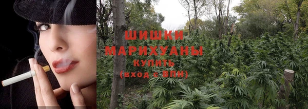 ГАЛЛЮЦИНОГЕННЫЕ ГРИБЫ Надым