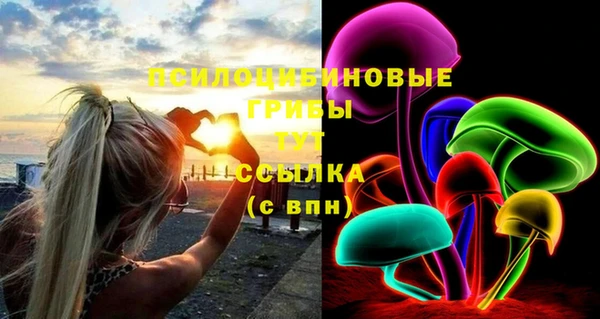 ГАЛЛЮЦИНОГЕННЫЕ ГРИБЫ Надым