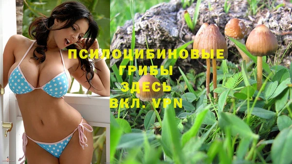 гидра Михайлов