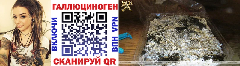 Купить  Княгинино  Галлюциногенные грибы Magic Shrooms 